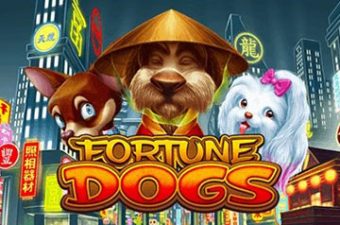 Fortune Dogs